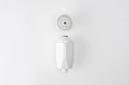 Rivana Vitamin Shower Water Filter